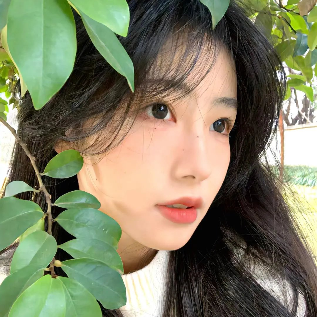 朋友圈 第2季